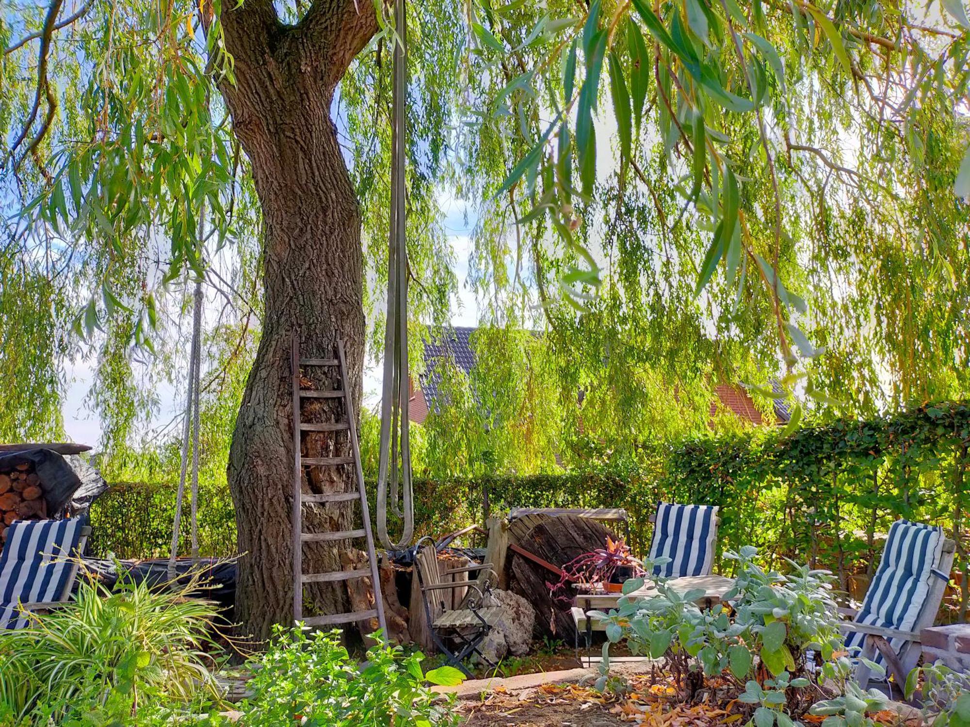 Aan De Molenberg Bed and Breakfast Broekhuizen  Exteriör bild