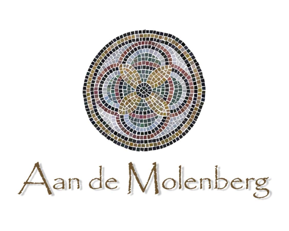 Aan De Molenberg Bed and Breakfast Broekhuizen  Exteriör bild